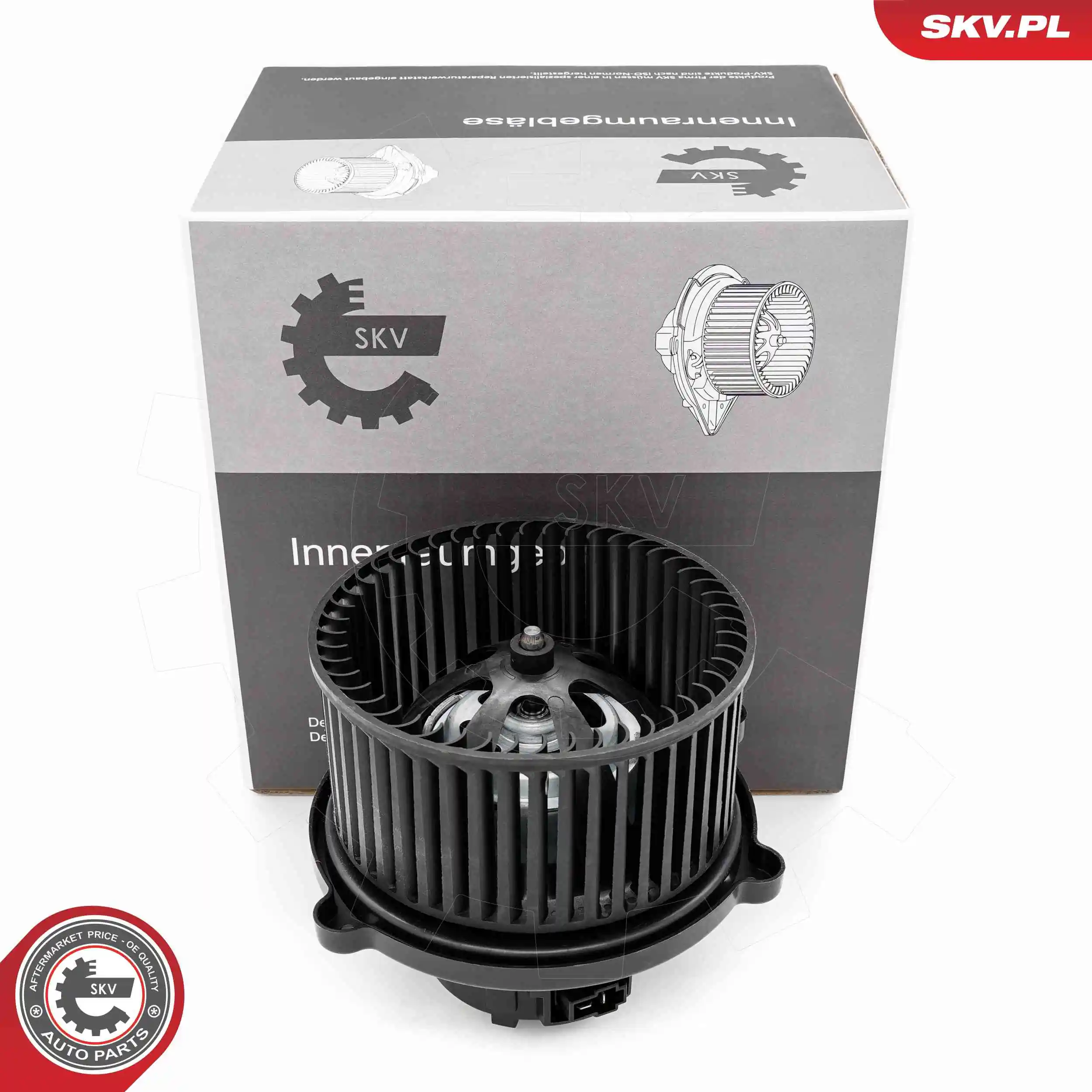 Interior Blower